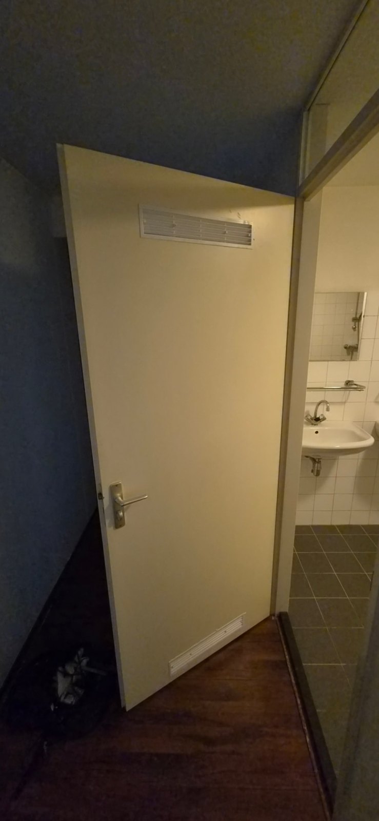 Badkamerdeur met ventilatieroosters